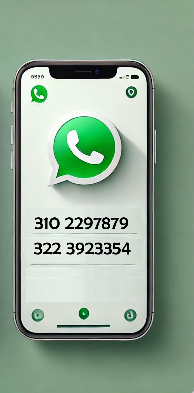 Contacto WhatsApp