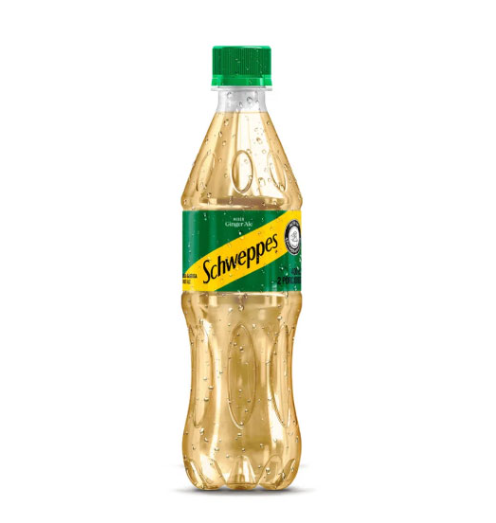 GINGER ALE 400 ML X 12 UNIDADES